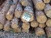 2003_0531_095408AA.jpg